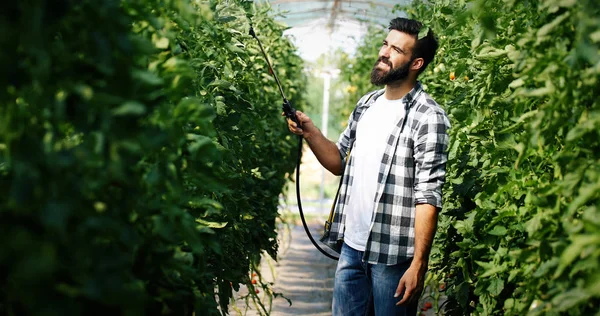 Ung Jordbrukare Som Skyddar Sina Växter Besprutning Med Kemikalier — Stockfoto