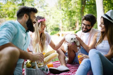 Yaz, tatil, müzik ve eğlence zaman kavramı. Neşeli arkadaşlar açık piknik var.