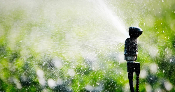 Irrigation System Function Watering Agricultural Plants Field — Stock Photo, Image