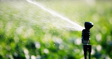 Tarımsal bitkileri sulama işlevi gören sulama sistemi