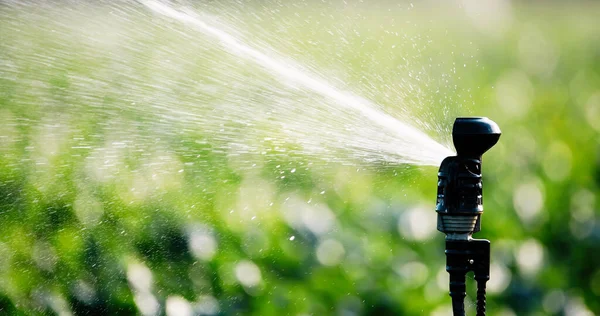 Sistema Irrigação Função Rega Plantas Agrícolas Terreno — Fotografia de Stock