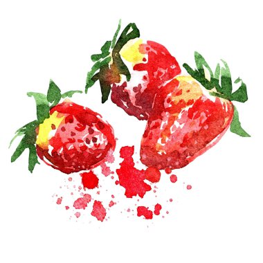 Çilek sulu boya grubu