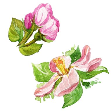 suluboya bahar çiçekleri