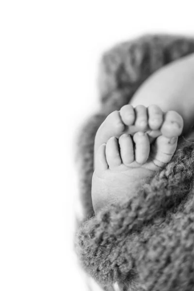Ноги новорожденного ребенка. Фото выделено на белом фоне. Фото выделено на белом фоне . — стоковое фото