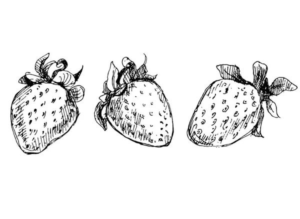 Το σύνολο των τριών φράουλες σε πένα και μελάνι. — Διανυσματικό Αρχείο