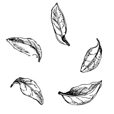 Yaprakların sorunsuz arka plan deseni.