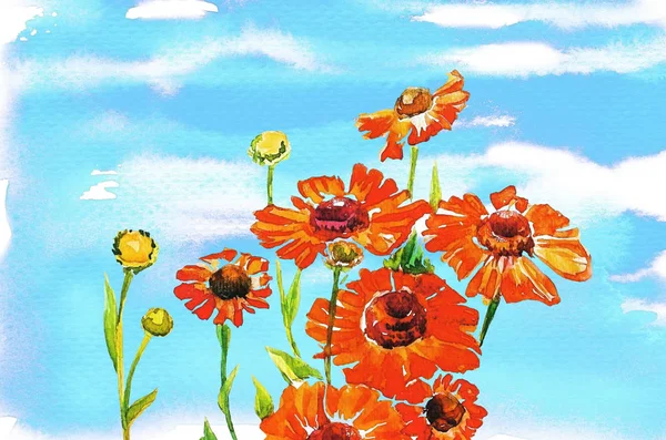 Letnie kwiaty malowane farbami wodnymi. — Zdjęcie stockowe