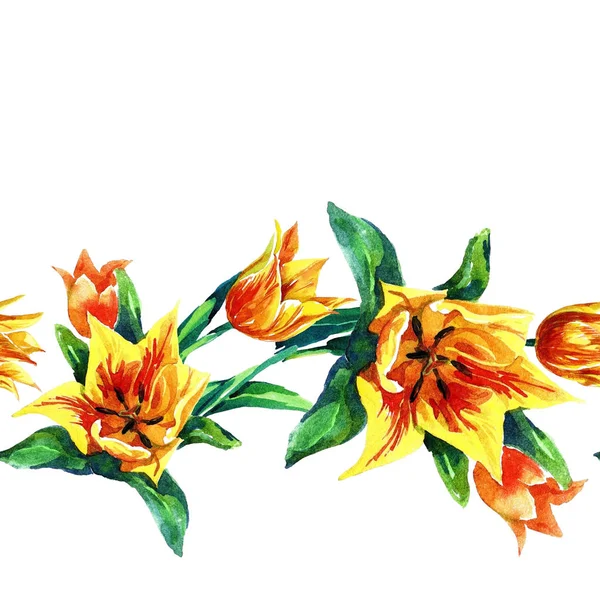 Acquerello Modello Senza Soluzione Continuità Tulipani — Foto Stock