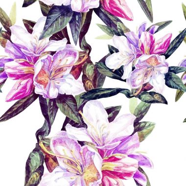 Sorunsuz arka planını çiçekler azaleas sulu boya boyalı.