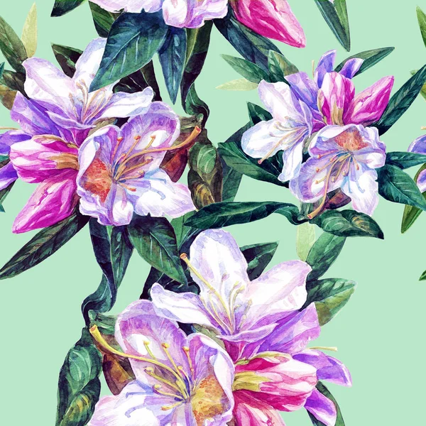 Απρόσκοπτη Υπόβαθρο Των Λουλουδιών Αζαλεών Ζωγραφισμένα Ακουαρέλα — Φωτογραφία Αρχείου