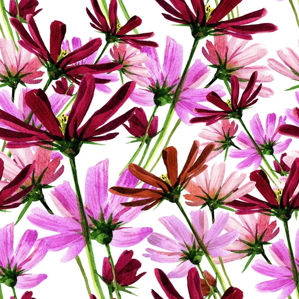 Seamless background pattern of flowers of cosmos.