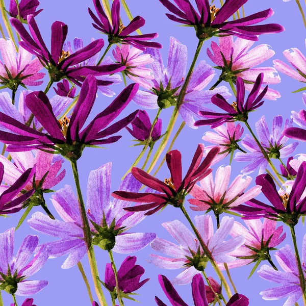 Naadloze Achtergrondpatroon Van Bloemen Van Cosmos — Stockfoto