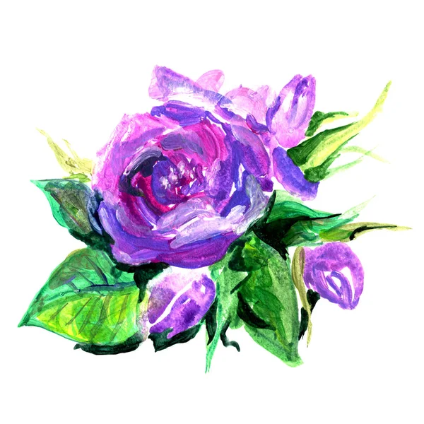 Бузкова Троянда Пофарбована Пензлем — стокове фото