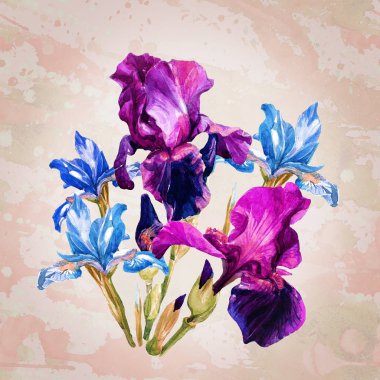 Suluboya boyalı süsen buket.