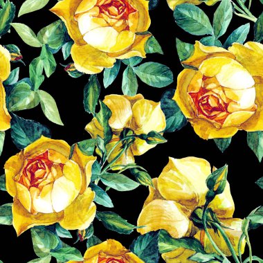 Çiçek, sarı güller, seamless modeli içinde suluboya boyalı.