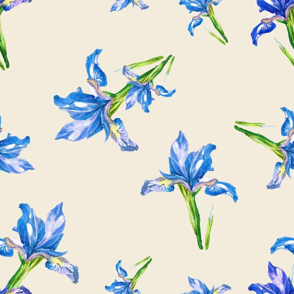 Seamless Pattern Irises Painted Watercolor — Stock Photo, Image