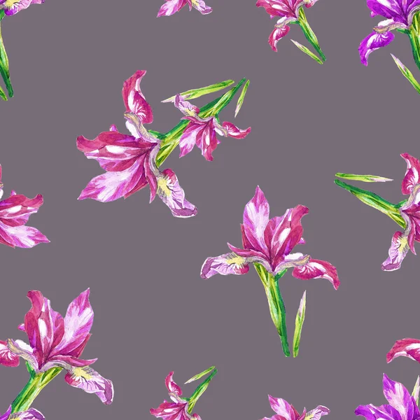 Seamless Pattern Irises Painted Watercolor — Stock Photo, Image