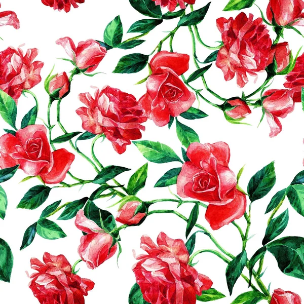 Padrão Sem Costura Rosas Pintadas Aquarela — Fotografia de Stock