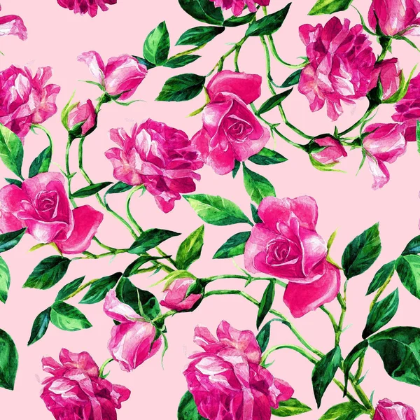 Seamless Pattern Roses Painted Watercolor — Stock Photo, Image