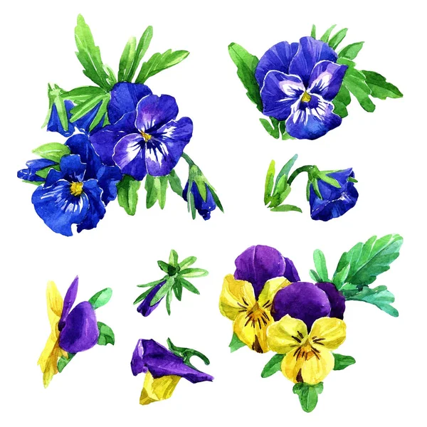 Set Aquarel Viooltjes Bloemen — Stockfoto