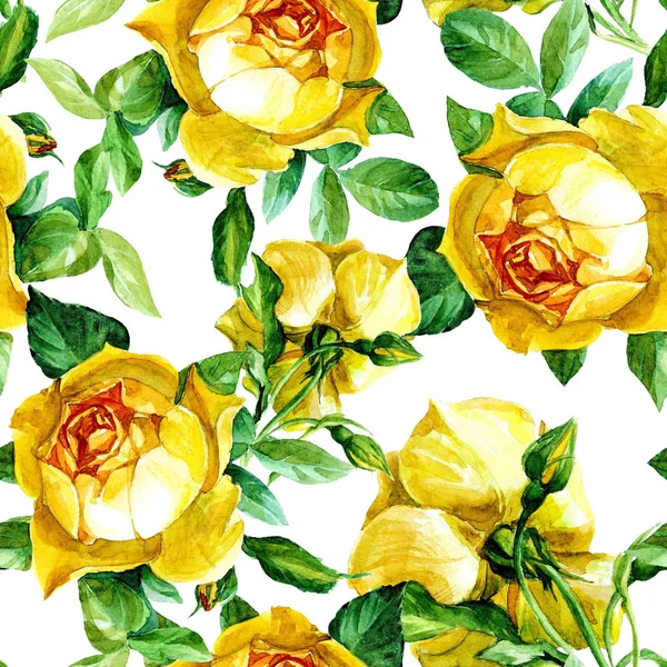 Floral Yellow Roses Seamless Pattern Painted Watercolor — Stock Photo, Image