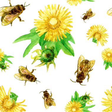 Dandelions ve suluboya arı seamless modeli.