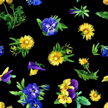 Karahindiba çiçek ve suluboya içinde boyalı Menekşe seamless modeli.