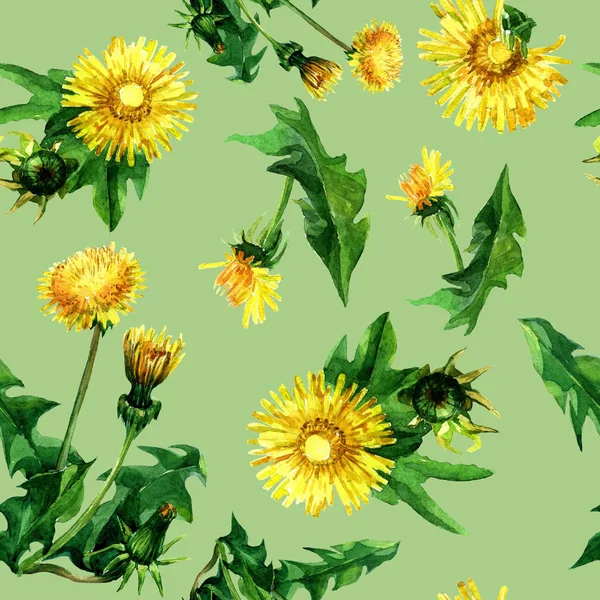 水彩で描かれたタンポポの花のシームレス パターン — ストック写真
