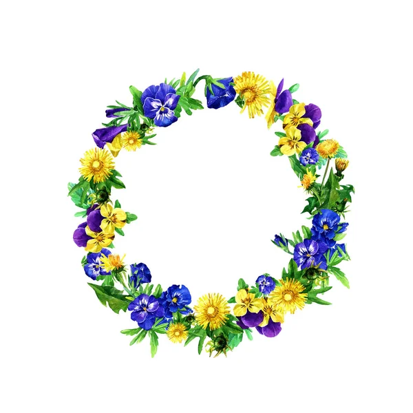 Frame Wreath Dandelion Violet Flowers Painted Watercolor — Stock Photo, Image