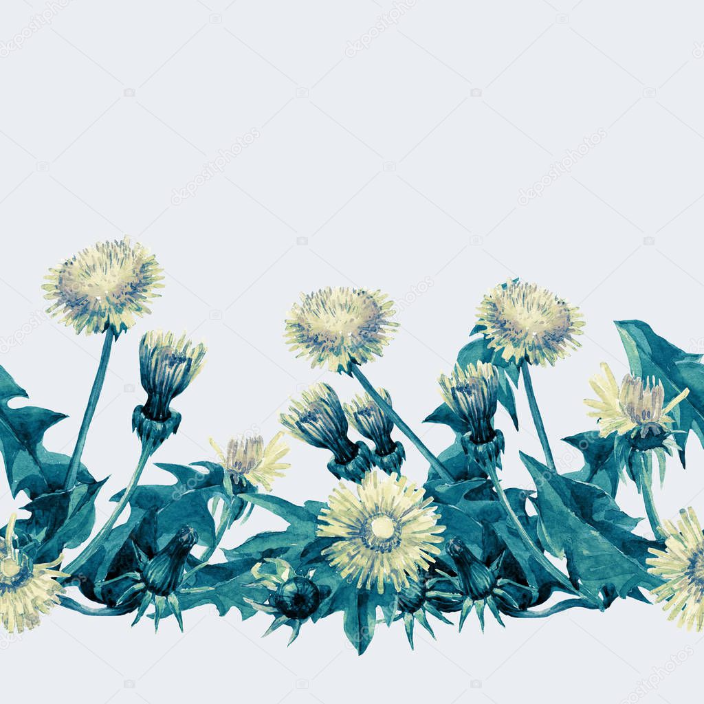 Seamless pattern of dandelion flowers painted in watercolor.