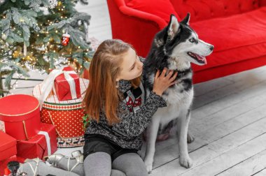 Bir Noel iç ile bir husky köpek kız şirin çocuk.