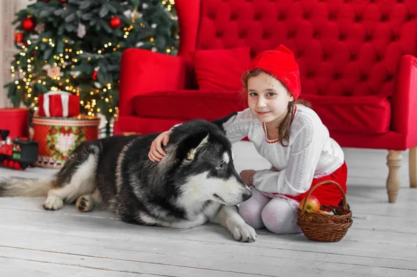Ребенок Костюме Красная Шапочка Большой Собакой — стоковое фото