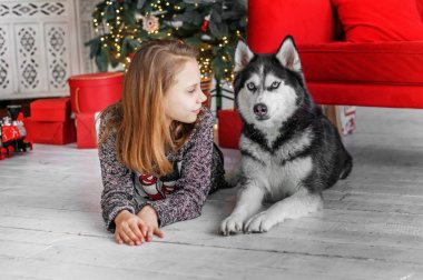 Bir Noel iç ile bir husky köpek kız şirin çocuk.