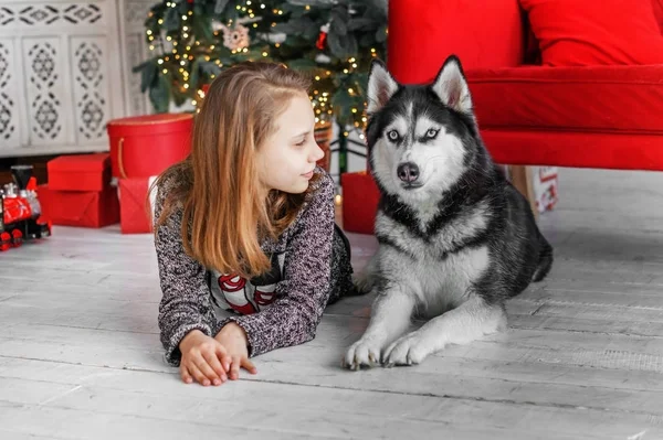 Linda Niña Interior Navidad Con Perro Husky — Foto de Stock