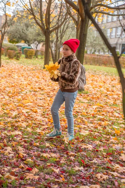 Girl Child Collects Yellow Leaves Walk Autumn Park — Stock Photo, Image