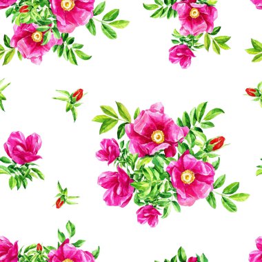 Yabani gül çiçek desen yinelenen suluboya.