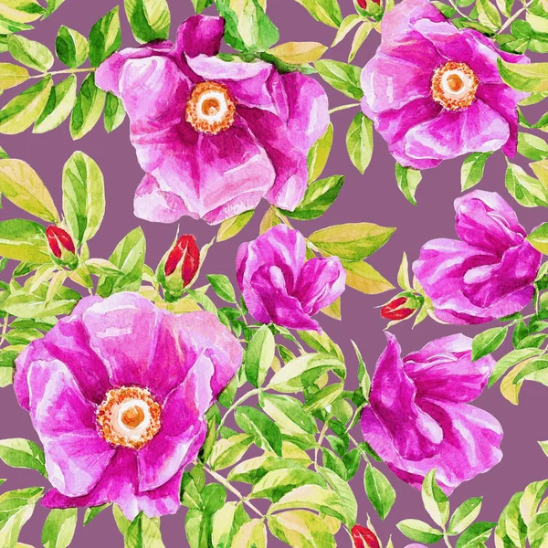 野生玫瑰花的水彩重复图案 — 图库照片