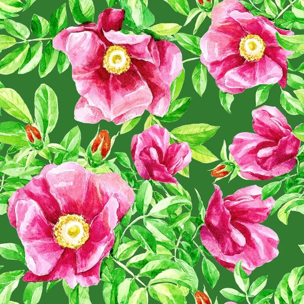 Ακουαρέλα Επαναλαμβανόμενο Μοτίβο Των Λουλουδιών Από Άγριο Τριαντάφυλλο — Φωτογραφία Αρχείου