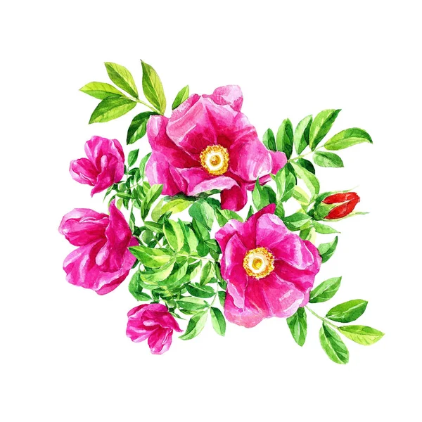 수채화 배경에 고립의 꽃다발 — 스톡 사진