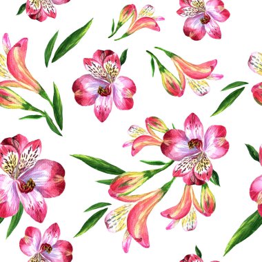 Suluboya boyalı Alstroemeria seamless modeli.