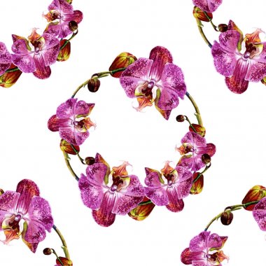 Sulu Boya Dikişsiz desen orkide ile.