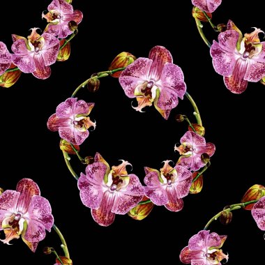 Sulu Boya Dikişsiz desen orkide ile.