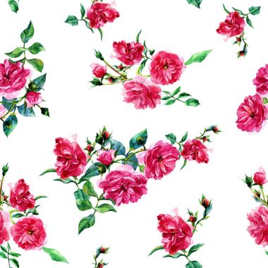 Büyük gül içinde suluboya boyalı seamless modeli.