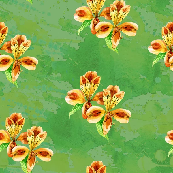 Безшовні Візерунок Alstroemeria Пофарбовані Акварель — стокове фото