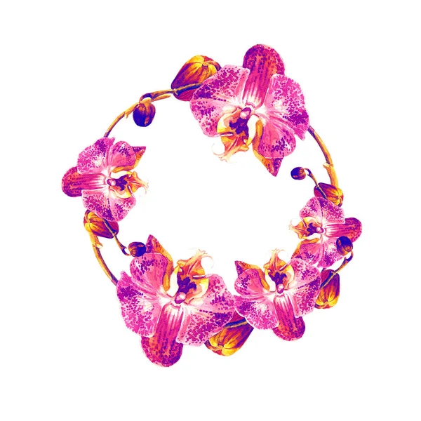 Runder Rahmen Aus Orchideen Bemalt Aquarell — Stockfoto