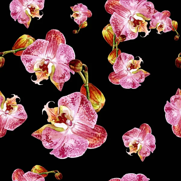 Watercolor Seamless Pattern Orchids — Stock Photo, Image