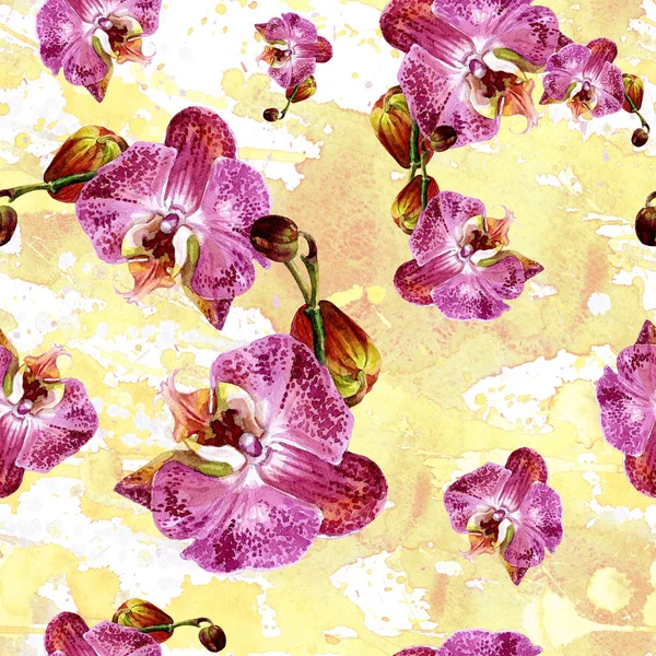 Watercolor Seamless Pattern Orchids — Stock Photo, Image