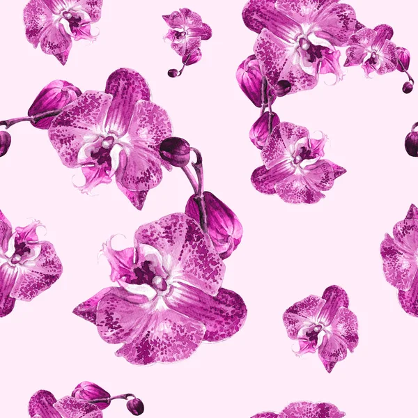Watercolor Seamless Pattern Orchids — Stock Photo, Image