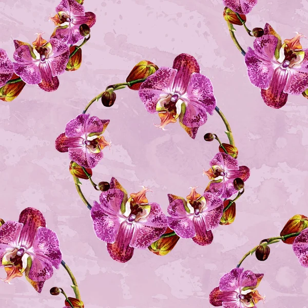 Watercolor Seamless Pattern Orchids — Stock Photo, Image