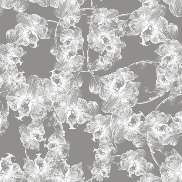 Watercolor Seamless Pattern Orchids — Stock Photo, Image